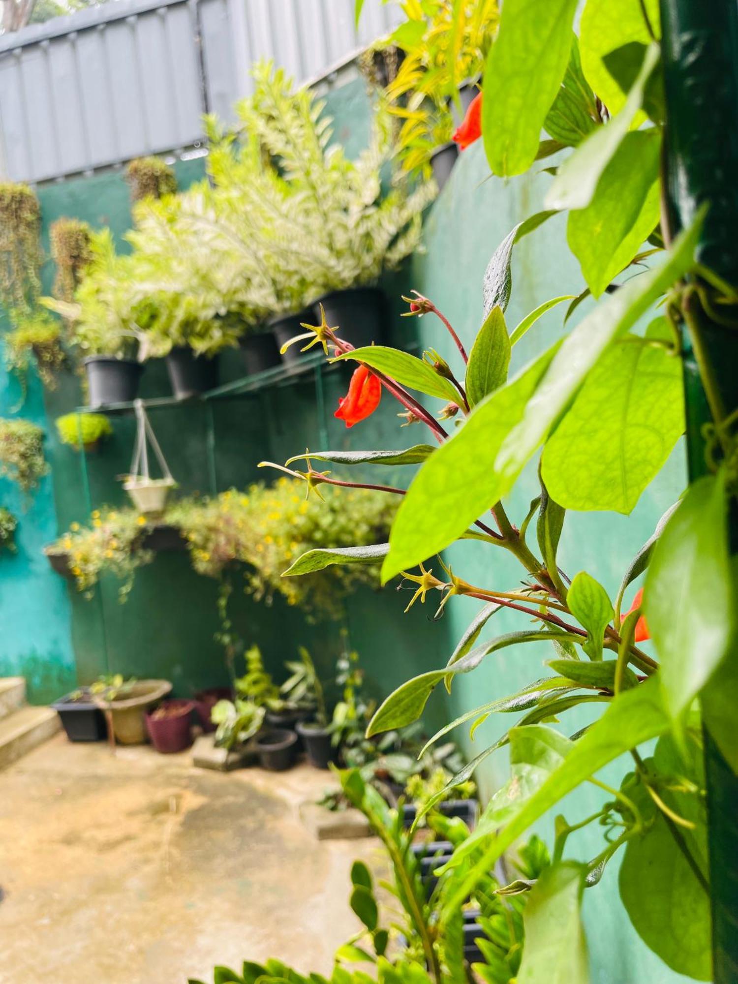 Little Paradise Homestay Procida Dış mekan fotoğraf